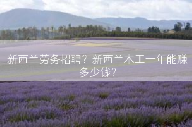 新西兰劳务招聘？新西兰木工一年能赚多少钱？