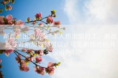 新西兰出国劳务?本人想出国打工，新西兰或者新加坡都可以，可是新西兰的共走签很难办！?