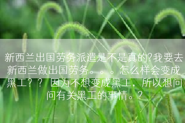 新西兰出国劳务派遣是不是真的?我要去新西兰做出国劳务。。。怎么样会变成黑工？？ 因为不想变成黑工，所以想问问有关黑工的事情。?