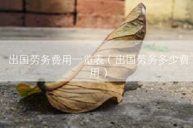 出国劳务费用一览表（出国劳务多少费用）
