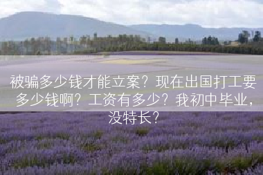 被骗多少钱才能立案？现在出国打工要多少钱啊？工资有多少？我初中毕业，没特长？