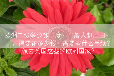 欧洲电费多少钱一度？一般人想出国打工，得要花多少钱？需要些什么手续？像去英国这些的欧洲国家？