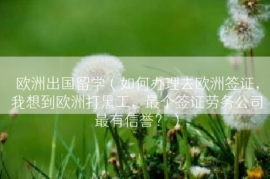 欧洲出国留学（如何办理去欧洲签证，我想到欧洲打黑工，最个签证劳务公司最有信誉？）