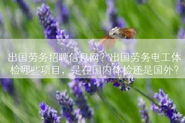 出国劳务招聘信息网？出国劳务电工体检哪些项目，是在国内体检还是国外？