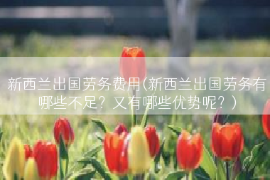 新西兰出国劳务费用(新西兰出国劳务有哪些不足？又有哪些优势呢？)