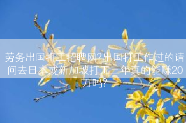 劳务出国打工招聘网?出国打工作过的请问去日本或新加坡打工三年真的能赚20万吗?