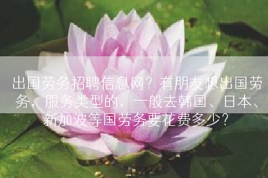 出国劳务招聘信息网？有朋友想出国劳务，服务类型的，一般去韩国、日本、新加波等国劳务要花费多少？