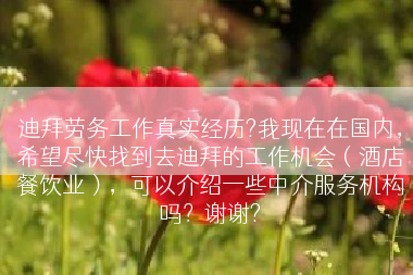 迪拜劳务工作真实经历?我现在在国内，希望尽快找到去迪拜的工作机会（酒店餐饮业），可以介绍一些中介服务机构吗？谢谢?