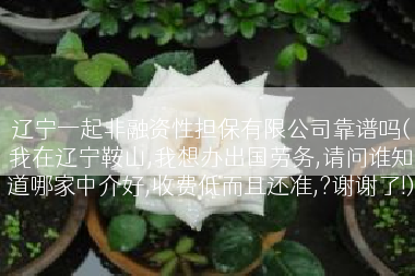 辽宁一起非融资性担保有限公司靠谱吗(我在辽宁鞍山,我想办出国劳务,请问谁知道哪家中介好,收费低而且还准,?谢谢了!)