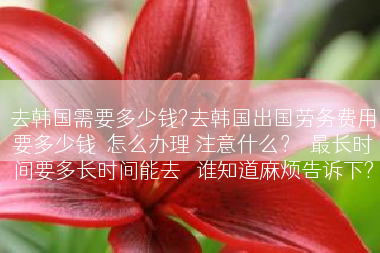 去韩国需要多少钱?去韩国出国劳务费用要多少钱  怎么办理 注意什么？  最长时间要多长时间能去   谁知道麻烦告诉下?