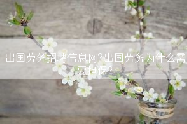 出国劳务招聘信息网?出国劳务为什么需要担保?