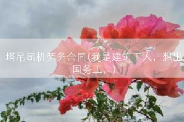 塔吊司机劳务合同(我是建筑工人，想出国务工，)