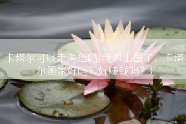 卡塔尔可以走海运吗(我想出国了，卡塔尔国家好吗？好赚钱吗？)