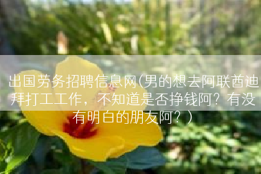 出国劳务招聘信息网(男的想去阿联酋迪拜打工工作，不知道是否挣钱阿？有没有明白的朋友阿？)