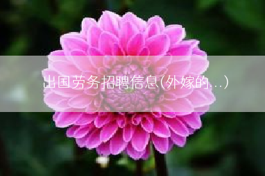 出国劳务招聘信息(外嫁的...)