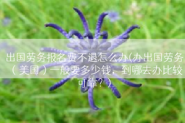 出国劳务报名费不退怎么办(办出国劳务（美国）一般要多少钱，到哪去办比较可靠？)