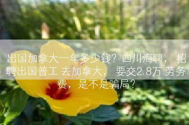 出国加拿大一年多少钱？四川海聘， 招聘出国普工 去加拿大， 要交2.8万 劳务费，是不是骗局？
