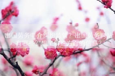 出国劳务中介纠纷监管？出国劳务网站有哪些？想了解这方面的信息？