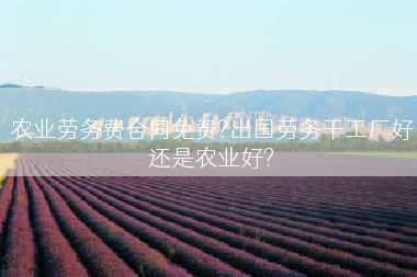 农业劳务费合同免费?出国劳务干工厂好还是农业好?