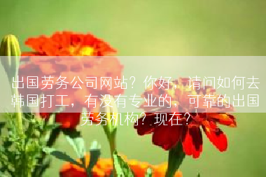 出国劳务公司网站？你好，请问如何去韩国打工，有没有专业的，可靠的出国劳务机构？现在？
