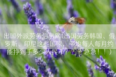 出国外派劳务信息网(出国劳务韩国、俄罗斯、印尼这些国家，平均每人每月约能挣到手多少人民币？？？急急！！)