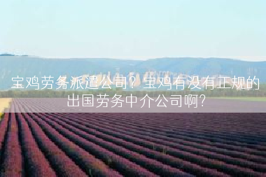 宝鸡劳务派遣公司？宝鸡有没有正规的出国劳务中介公司啊？