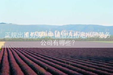 正规出国劳务？中国官方指定出国劳务公司有哪些？