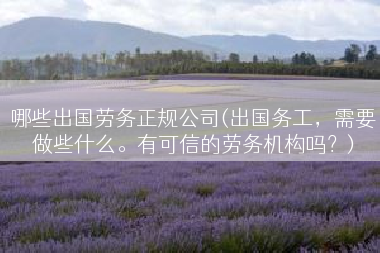 哪些出国劳务正规公司(出国务工，需要做些什么。有可信的劳务机构吗？)