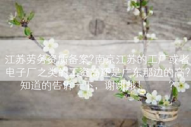 江苏劳务资质备案?南京江苏的工厂或者电子厂之类的工资高还是广东那边的高？知道的告诉一下，谢谢哦！😄?
