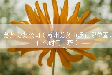 苏州劳务公司（苏州劳务市场在哪位置，什么时间上班）