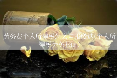 劳务费个人所得税怎么申报缴纳(个人所得税劳务报酬)