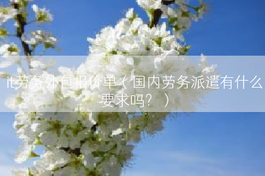 it劳务外包报价单（国内劳务派遣有什么要求吗？）