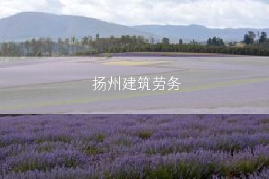 扬州建筑劳务