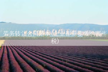 劳务转让合同范本(企业都需要缴纳哪些税)