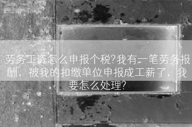劳务工资怎么申报个税?我有一笔劳务报酬，被我的扣缴单位申报成工薪了，我要怎么处理?