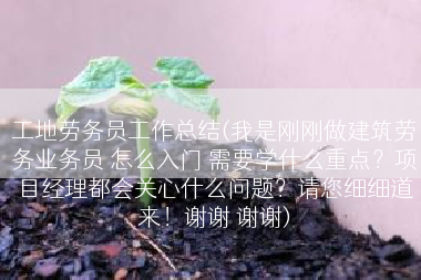 工地劳务员工作总结(我是刚刚做建筑劳务业务员 怎么入门 需要学什么重点？项目经理都会关心什么问题？请您细细道来！谢谢 谢谢)