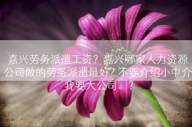 嘉兴劳务派遣工资？嘉兴哪家人力资源公司做的劳务派遣最好? 不要介绍小中介 我要大公司。？