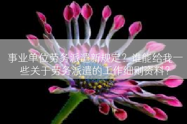 事业单位劳务派遣新规定？谁能给我一些关于劳务派遣的工作细则资料？