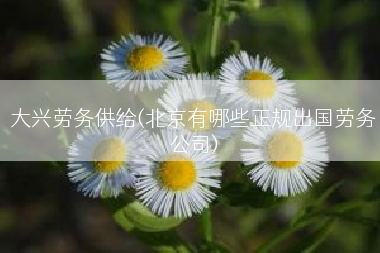 大兴劳务供给(北京有哪些正规出国劳务公司)
