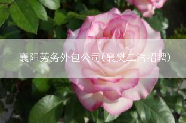 襄阳劳务外包公司(襄樊二汽招聘)