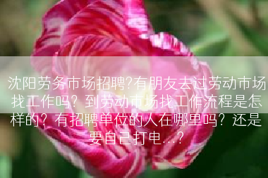 沈阳劳务市场招聘?有朋友去过劳动市场找工作吗？到劳动市场找工作流程是怎样的？有招聘单位的人在哪里吗？还是要自己打电...?