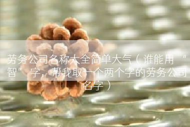 劳务公司名称大全简单大气（谁能用 “智” 字，帮我取一个两个字的劳务公司名字）