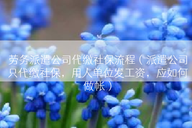 劳务派遣公司代缴社保流程（派遣公司只代缴社保，用人单位发工资，应如何做帐）