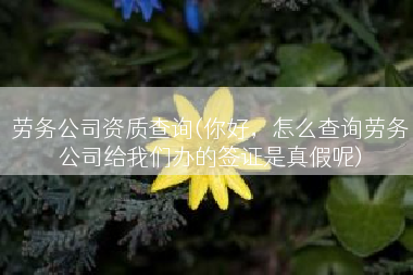 劳务公司资质查询(你好，怎么查询劳务公司给我们办的签证是真假呢)