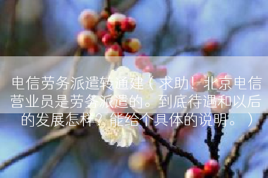 电信劳务派遣转通建（求助！北京电信营业员是劳务派遣的。到底待遇和以后的发展怎样？能给个具体的说明。）