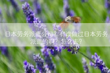 日本劳务派遣公司？有谁做过日本劳务派遣的啊？怎么去？