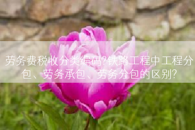 劳务费税收分类编码?铁路工程中工程分包、劳务承包、劳务分包的区别?