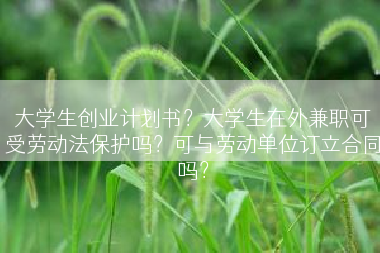大学生创业计划书？大学生在外兼职可受劳动法保护吗？可与劳动单位订立合同吗？