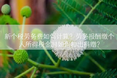 新个税劳务费如何计算？劳务报酬缴个人所得税金时如何扣出捐赠？