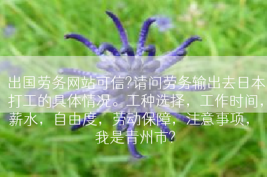 出国劳务网站可信?请问劳务输出去日本打工的具体情况。工种选择，工作时间，薪水，自由度，劳动保障，注意事项， 我是青州市?